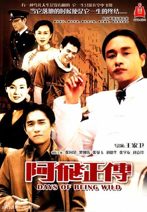 学位认证书长什么样子